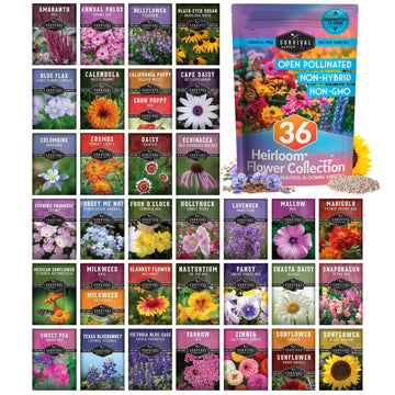 36-Pack Heirloom Flower Seed Kit – Non-GMO, Pollinator-Friendly Blooms for Bees & Butterflies