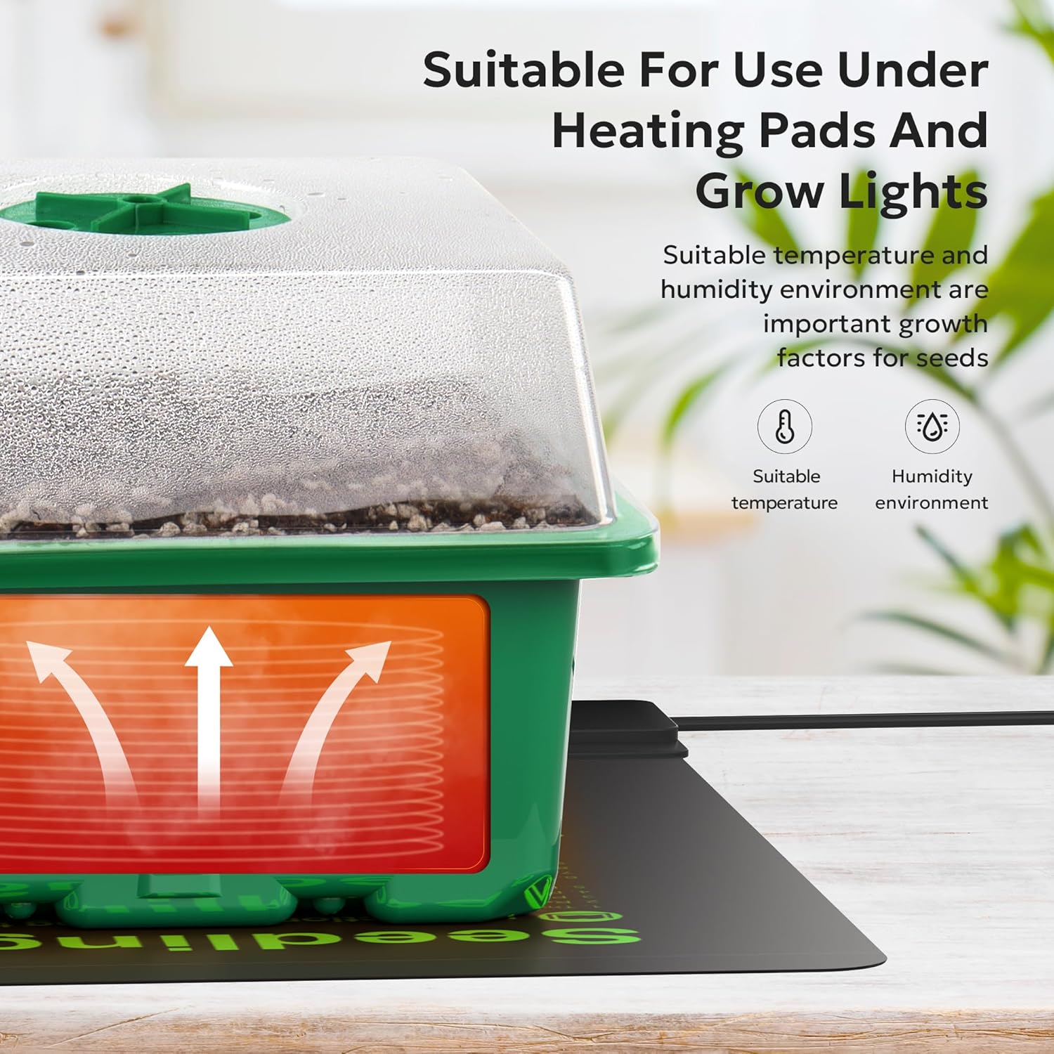 Grid Seedling Starter Box – Ventilated Germination Tray for Indoor & Outdoor Planting