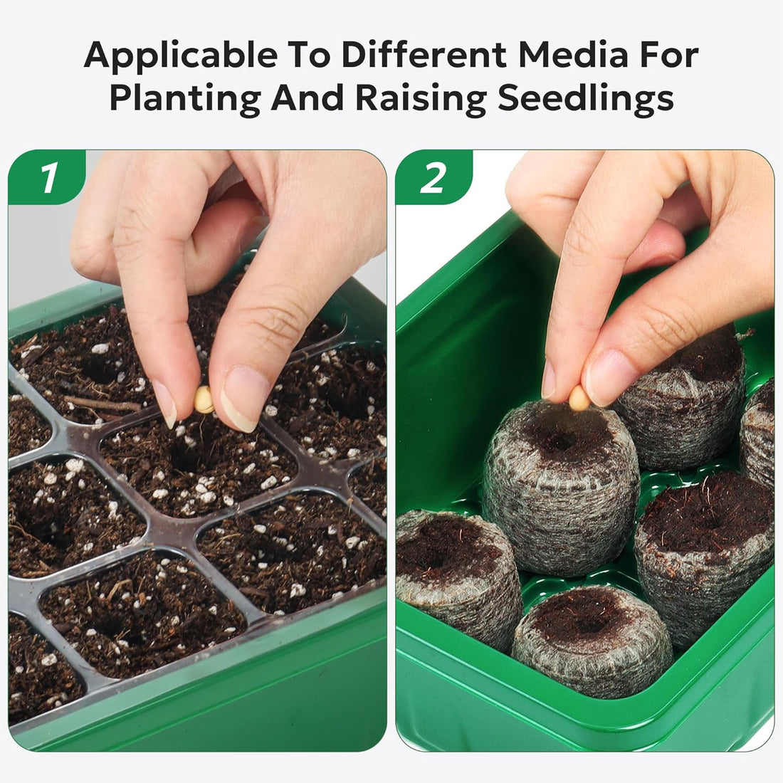 Grid Seedling Starter Box – Ventilated Germination Tray for Indoor & Outdoor Planting