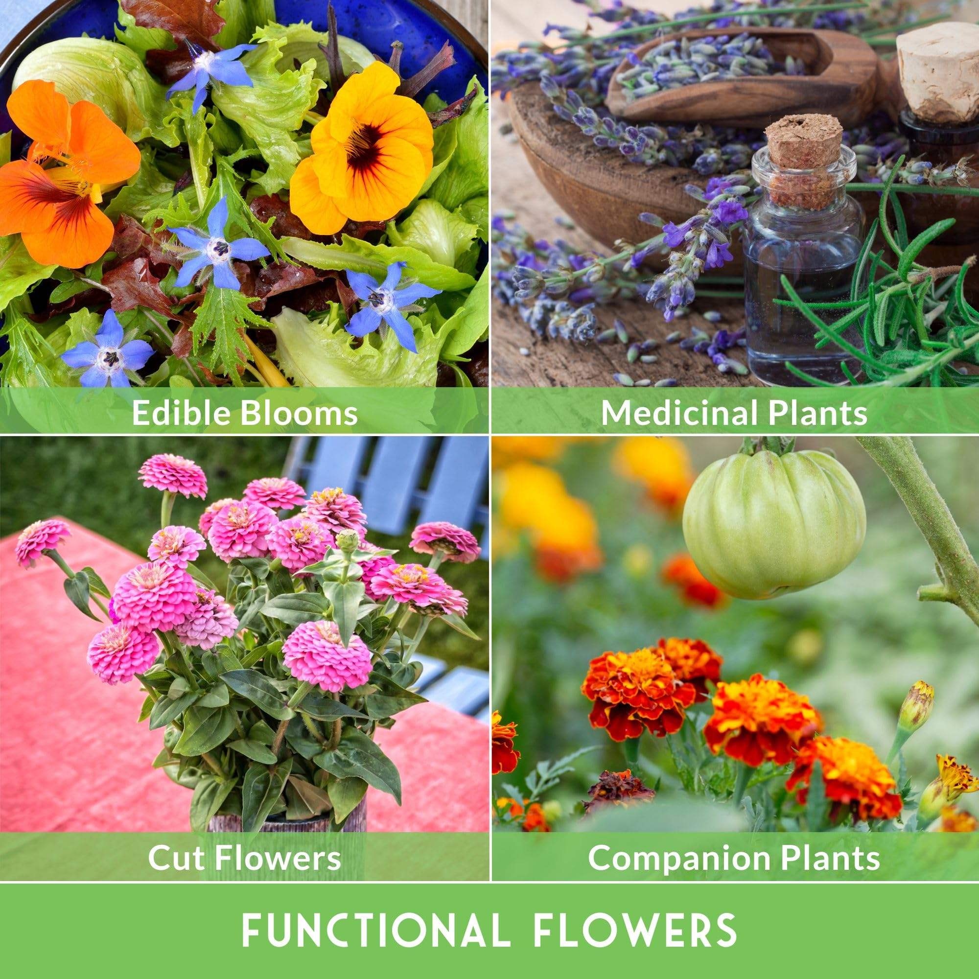 36-Pack Heirloom Flower Seed Kit – Non-GMO, Pollinator-Friendly Blooms for Bees & Butterflies